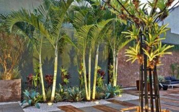 Supply and installation of palm trees - Landscape Smile for irrigation and landscaping works